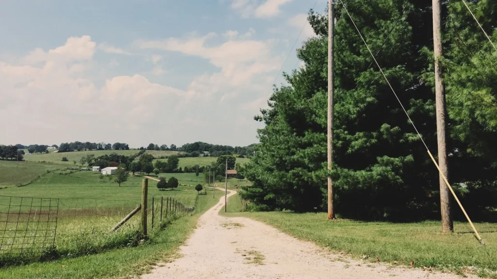 Cleared rural access road ready for post-clearing site preparation