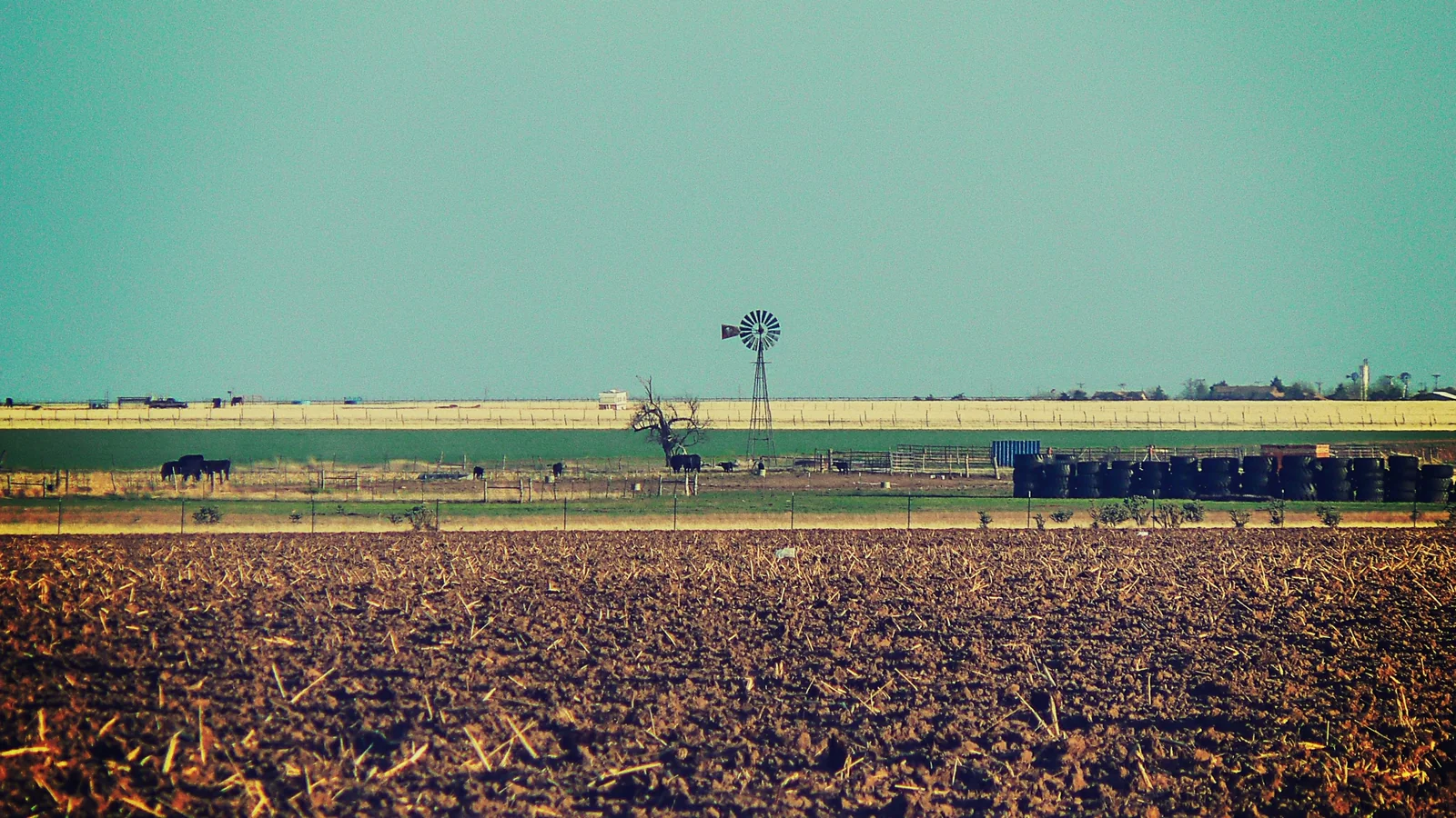 Rural pasture with a wind pump and trees representing winter land care